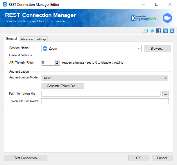 SSIS REST Zoom Connection Manager